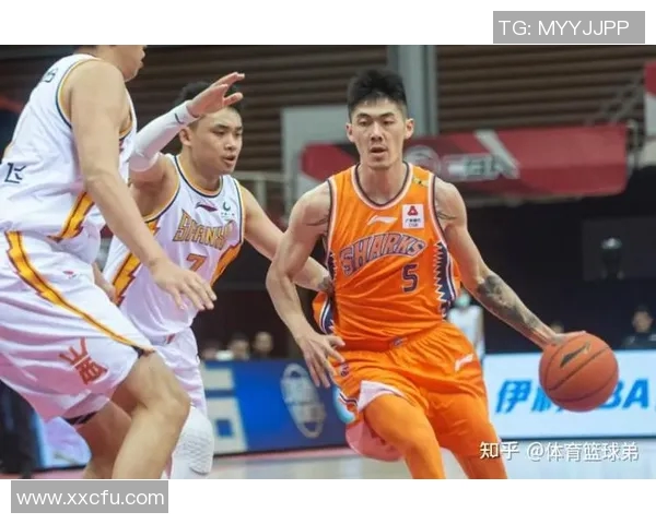 上海篮球队的意识探讨与发展现状分析 上海篮球队的意识探讨与发展现状分析