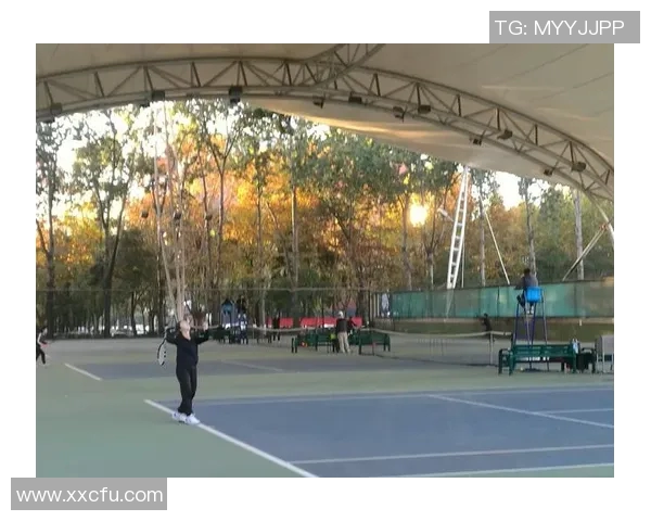 成都网球队实力对比深度解析各队优势与潜力展望 成都网球队实力对比深度解析各队优势与潜力展望