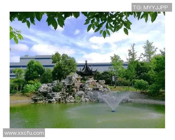 杭州排球队的崛起之路：从默默无闻到世锦赛的荣耀之旅