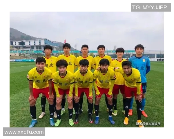 武汉足球队区域防守策略分析与比赛表现的得失探讨