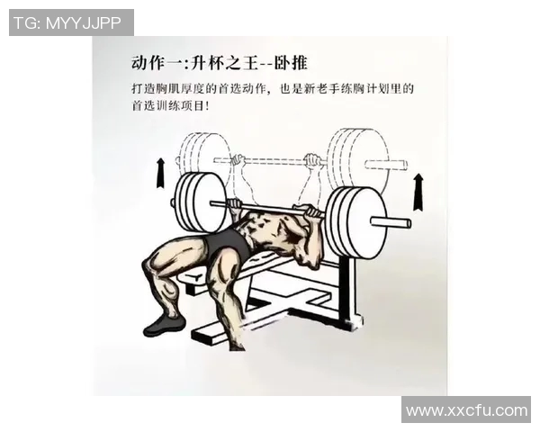 科学篮球力量训练方法探究与实践提升运动表现的有效策略