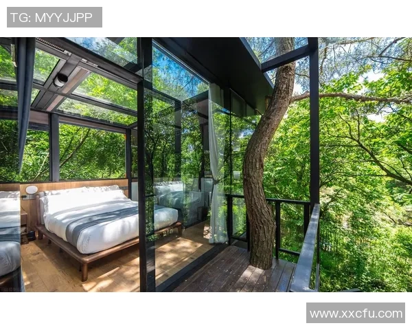 民宿足球新体验:在温馨的家中享受激情四溢的绿茵场景 民宿足球新体验:在温馨的家中享受激情四溢的绿茵场景